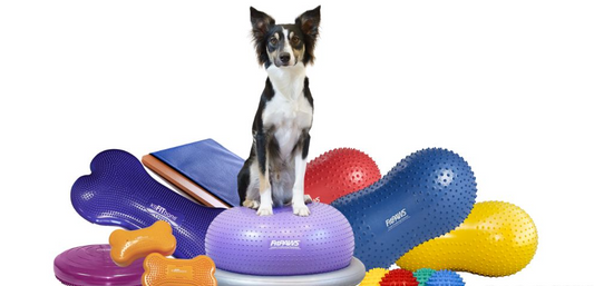 Physiotherapy Value Package