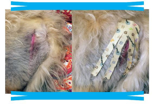Skin and Scar Therapy